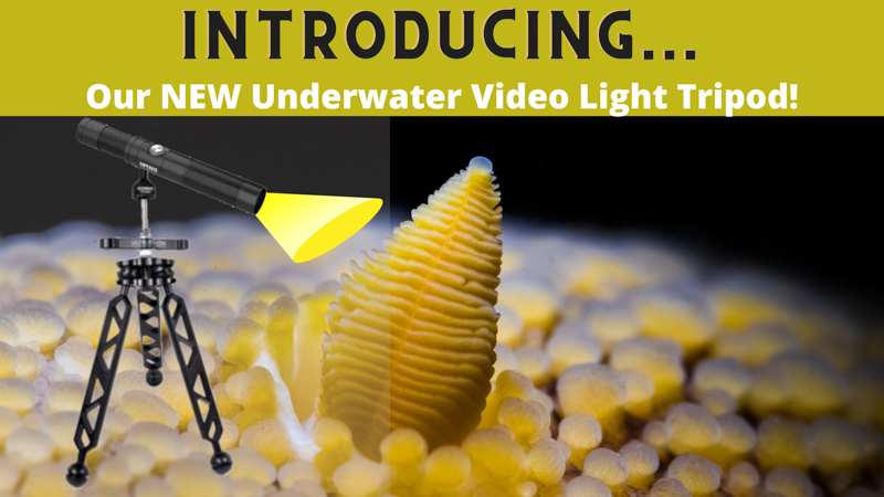 Underwater Video Light Tripod