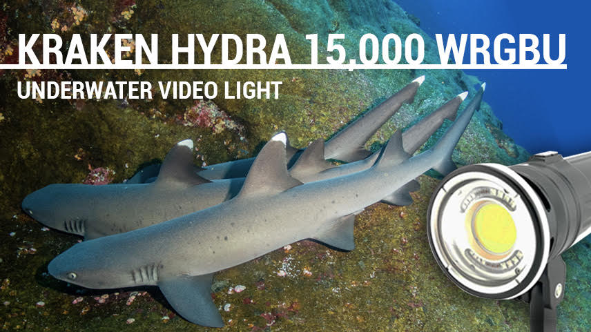 Kraken Hydra 15000 WRGBU Underwater Video Light Review
