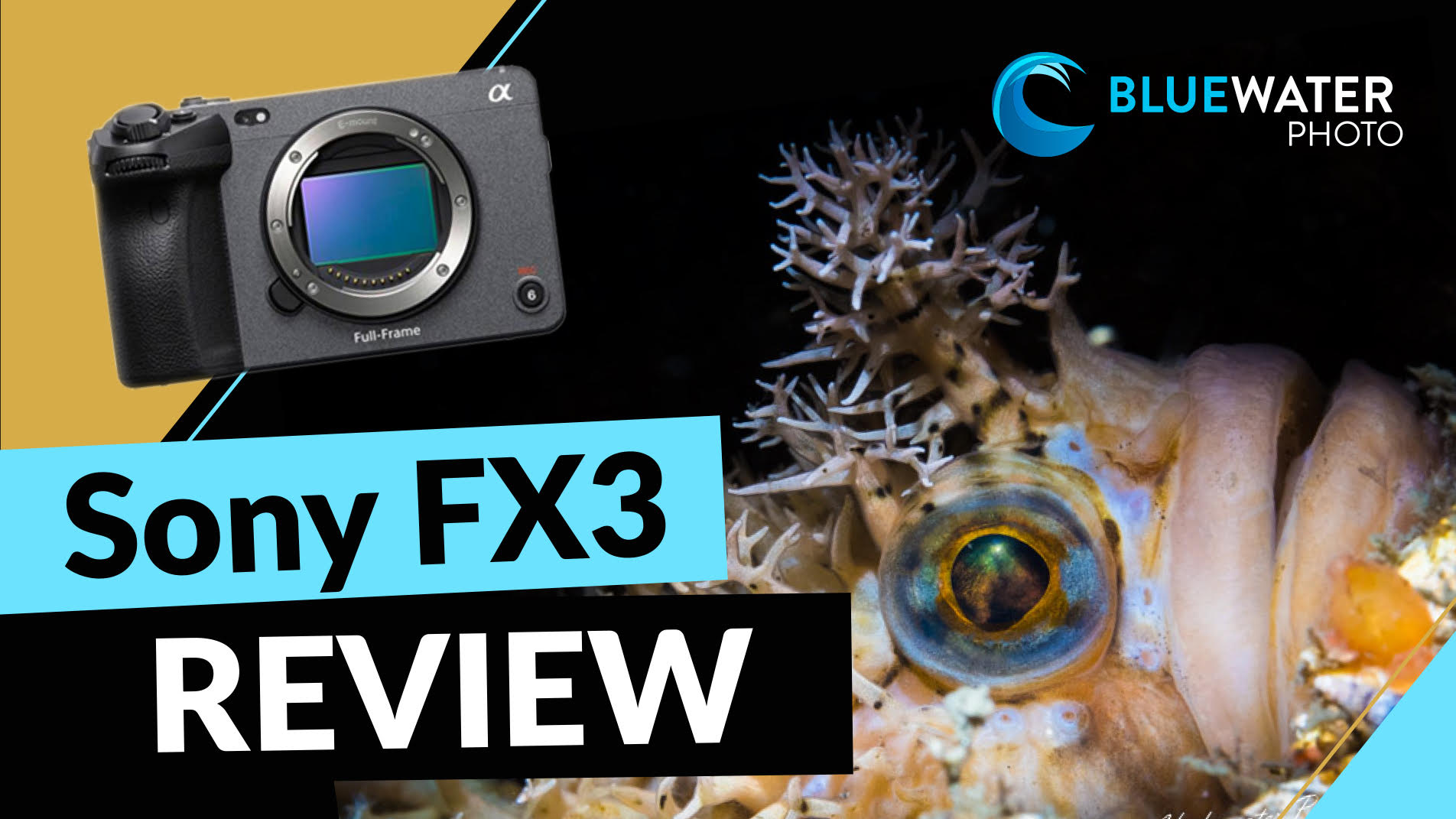 Sony FX3 Underwater Review