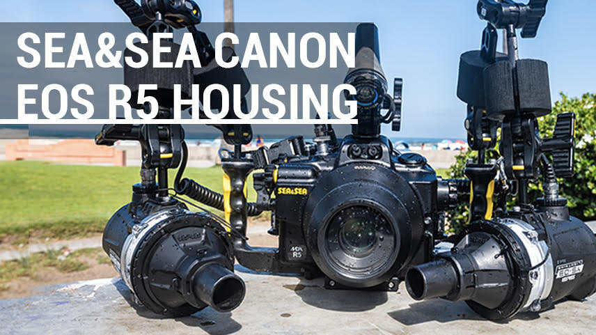 Sea & Sea Canon R5 Underwater Housing Review // A Sit Down with Andy Sallmon & Nirupam Nigam