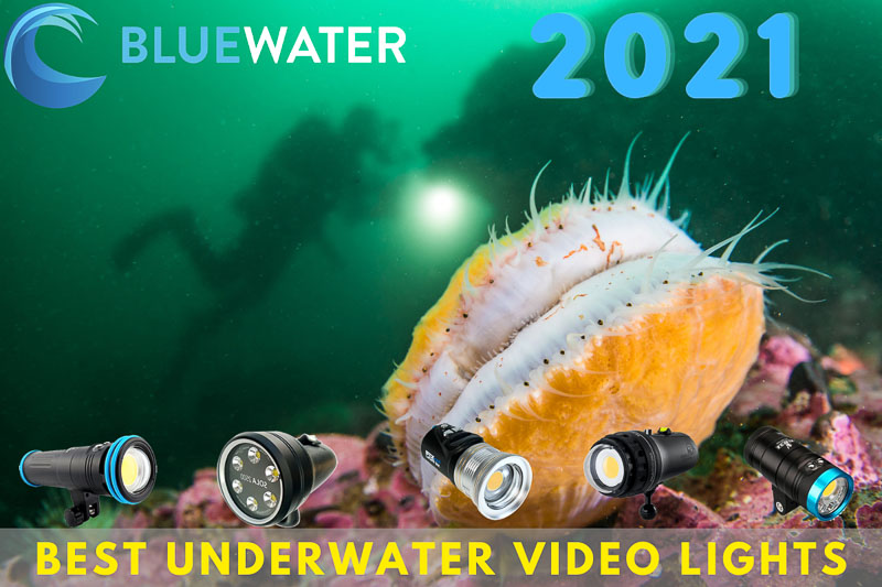 best underwater video lights