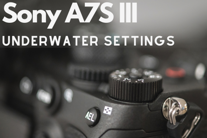 Sony A7S III Underwater Settings