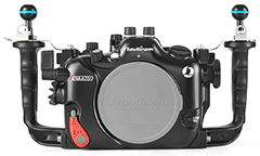 Laut & Sea Canon EOS R6 Perumahan Bawah Air