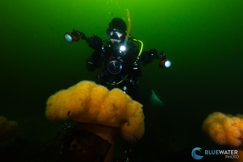 Diving deep with the Inon S220s