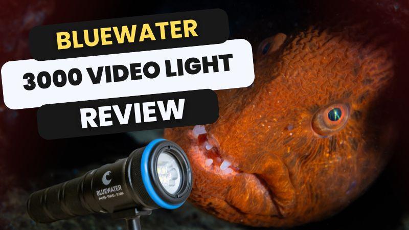 Bluewater 3000 Underwater Video Light Review