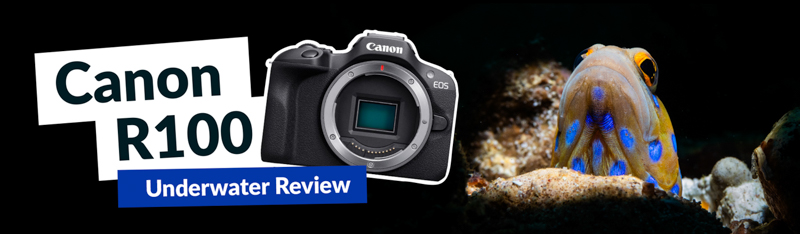 Canon R100 Underwater Camera Review