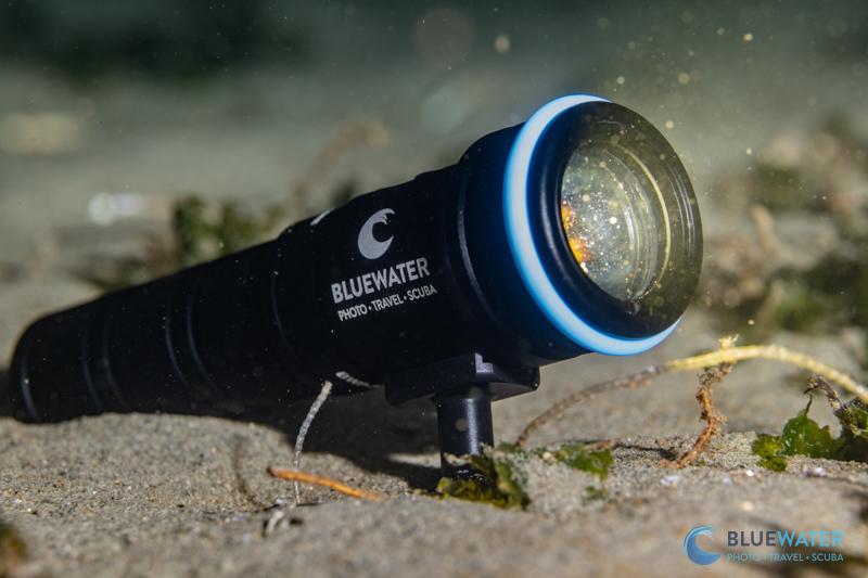 Bluewater 3000 Underwater Video Light Review