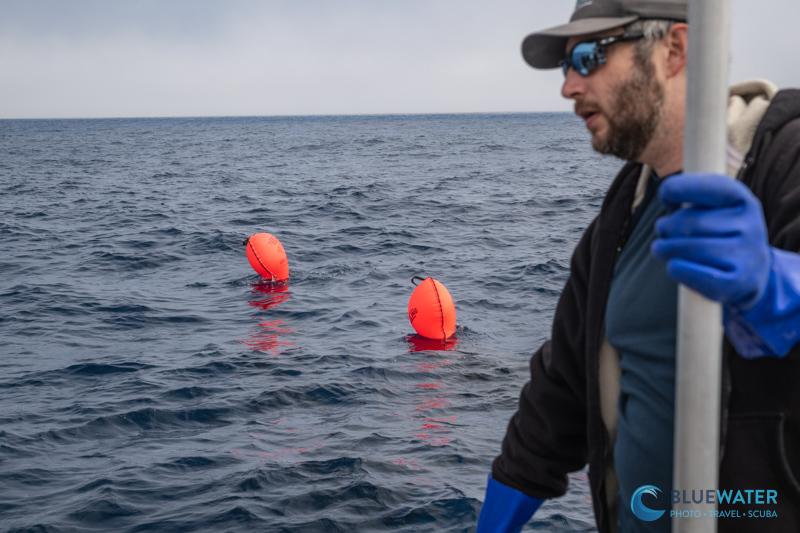Lift bags appear after divers 100 ft below tie them to a ghost net and release it Lift bags appear after divers 100 ft below tie them to a ghost net and release it