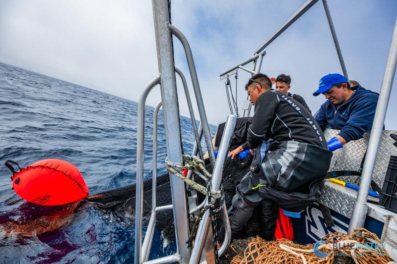 A manual pulley system is just enough to get the net onboard A manual pulley system is just enough to get the net onboard