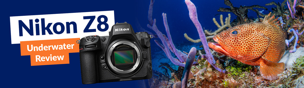 Nikon Z8 underwater review