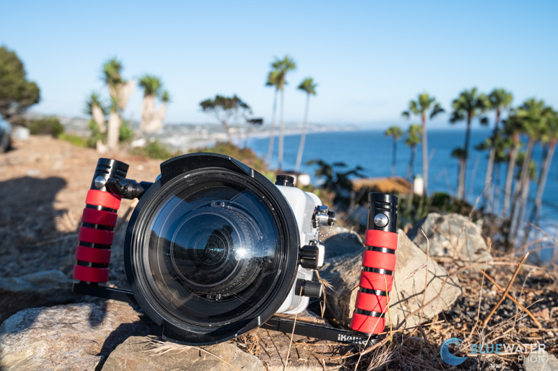 The Canon EOS R100 After a Day of Diving in Southern California