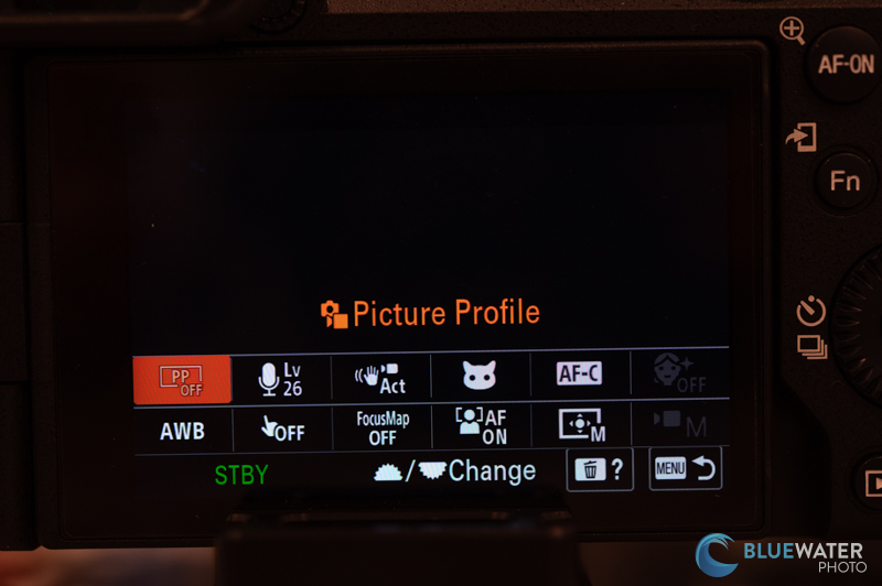 Sony a6700 video fn menu