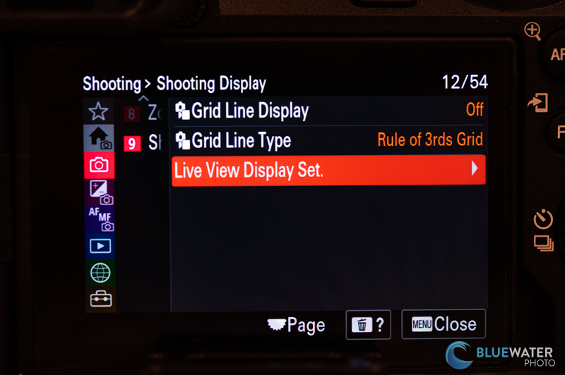 Sony a6700 live view display