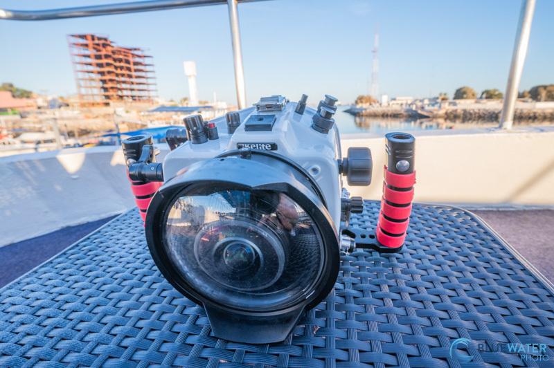 Nikon Z5 II Underwater Camera in the Field Nikon Z5 II Underwater Camera in the Field