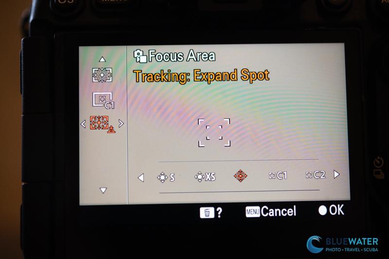 Sony A7V autofocus settings