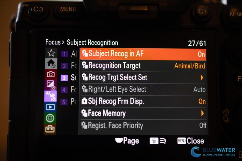 Sony A7V purple menu
