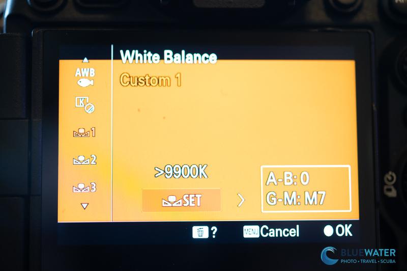 Sony A7V custom white balance