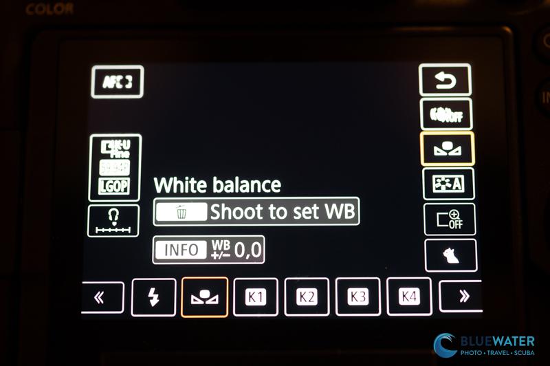 Setting custom white balance - canon r6 iii Setting custom white balance - canon r6 iii