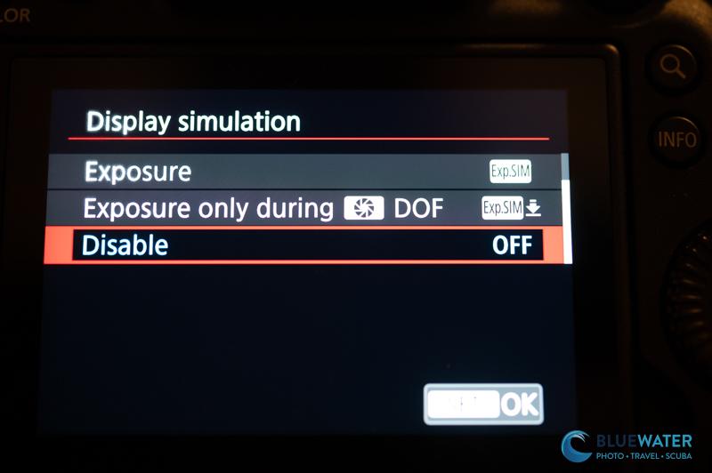 Remove exposure simulation - Canon R6 III Remove exposure simulation - Canon R6 III