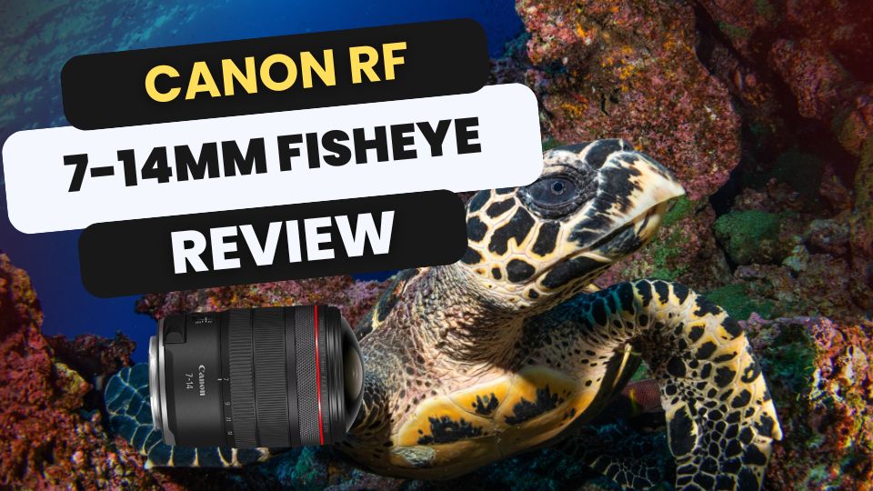 Canon RF 7-14mm fisheye lens review