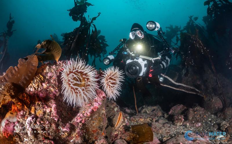 Nirupam Testing the Sony A7V in an Ikelite A7V Housing with Dual Ikelite DS 232 Strobes