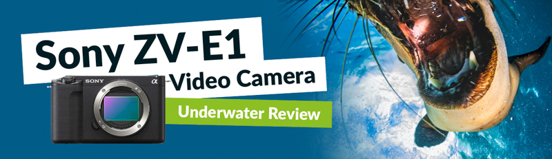 Sony ZV-E1 Underwater Camera Review