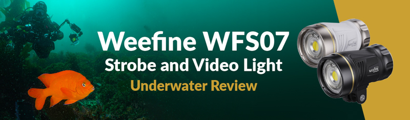 weefine wfs07 strobe and video light review