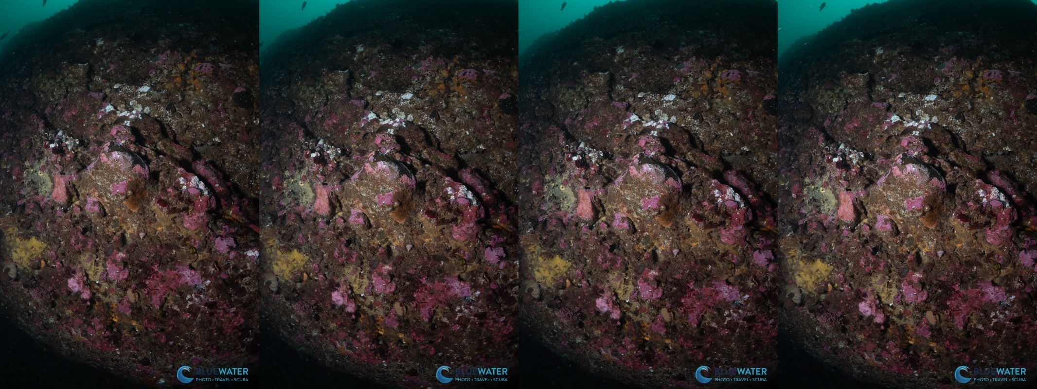 YS-D130R lightning test