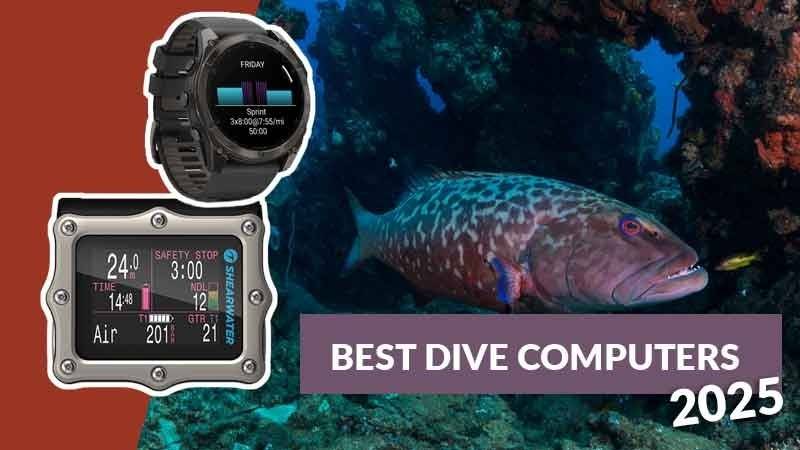 The Best Dive Computer: Our Top Picks for 2025